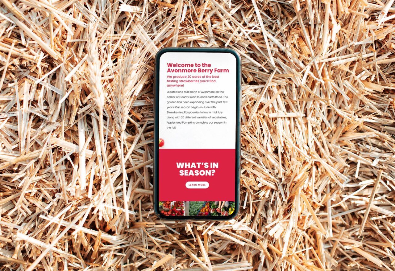 Avonmore Berry Farm tech Agency